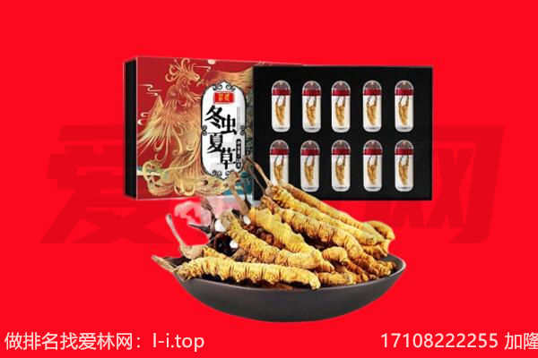 湟中区回收虫草.jpg